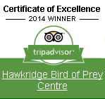 Trip Advisor Certificate of Excellence