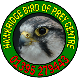 Find Us  Hawkridge Bird of Prey Centre