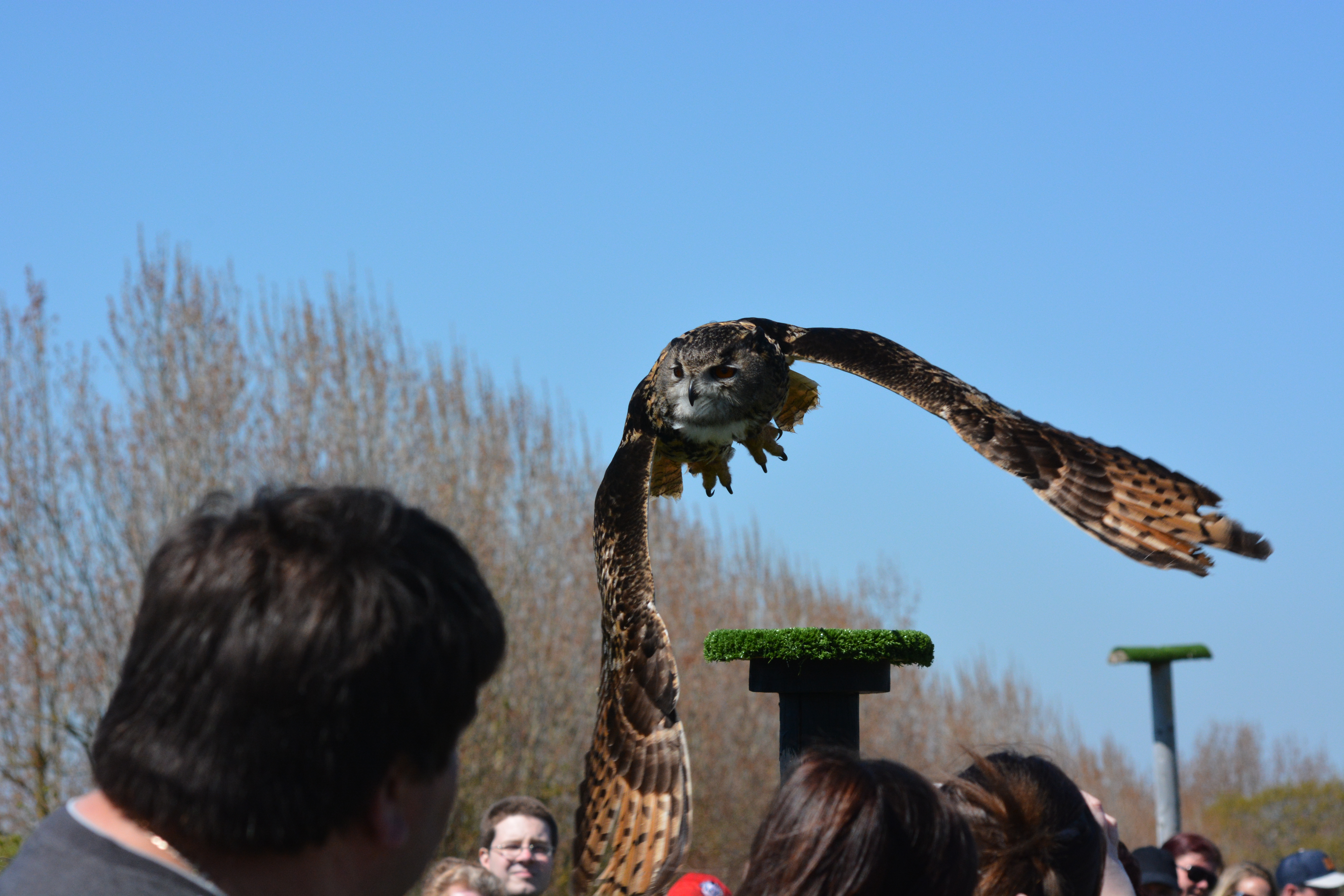 Find Us  Hawkridge Bird of Prey Centre