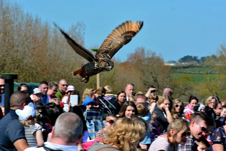 Find Us  Hawkridge Bird of Prey Centre