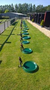 WEATHERING LAWN               
